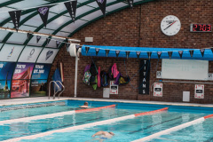 Ellesmere_swimming